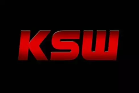 Polský kolos KSW hlásí další českou posilu v podobě talentovaného bijce