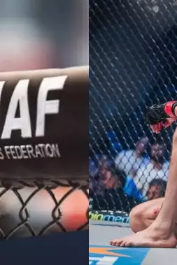 Proč Engizek neuspěl se svým protestem? GEMMAF vše objasňuje