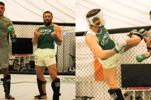 McGregor brousí čepel! Co říkáte na aktuální formu bývalého šampiona?