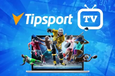 Vsaďte si s Tipsportem na bojové sporty a sledujte zdarma sportovní streamy