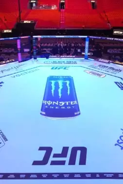 Zlatá éra MMA je definitivně pryč? Přichází éra digitální dominance!