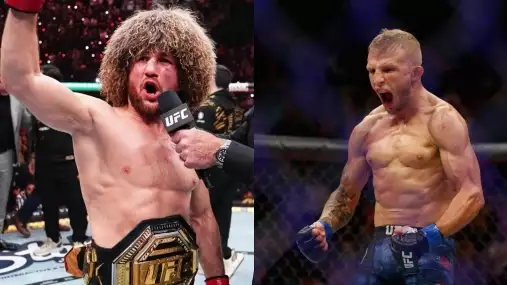 Kdo má šanci zastavit Dvalishviliho? Bývalý šampion Dillashaw má řešení