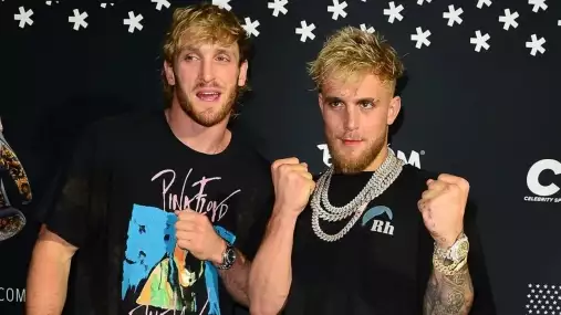 Paulové chtějí překonat UFC! Tentokrát si berou na mušku legendární projekt