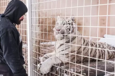 Krev a strach! Vémola popsal děsivý zážitek z výběhu svých šelem