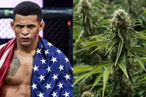 Nenechte se zmást! Patchy Mix reaguje na zvláštní obvinění z dopingu