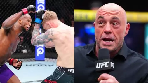 Horší než Page vs Patterson? Rogan okamžitě připomněl jeden z největších průšvihů UFC!