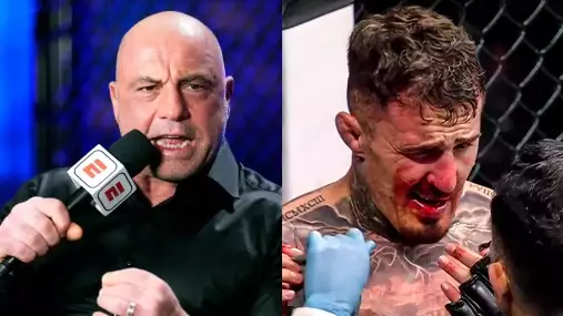 Joe Rogan bohužel ohledně Tom Aspinalla maluje čerta na zeď
