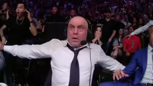 Nejšílenější comeback v historii UFC? Komentátor Rogan zavzpomínal na bájný okamžik