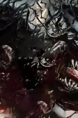 Černý pásek na dohled! Slavný herec ohromil komunitu bojových sportů