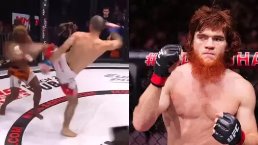 VIDEO: Další Magomedov v UFC? Děsivý Shara má staršího bratra! 