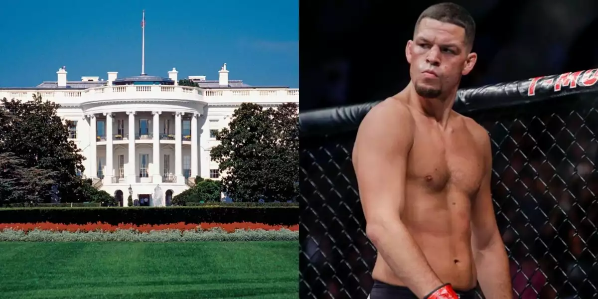 Nate Diaz by se rád vrátil do boje, ale má to nepříjemný háček