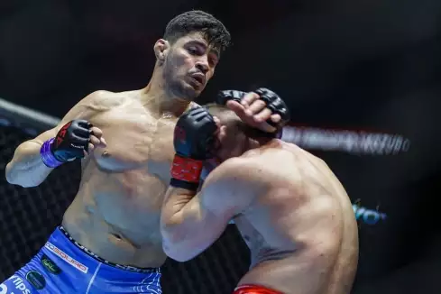 RFA našlo náhradu! Kdo zastoupí zraněného Fapša v duelu s Lutterbachem?