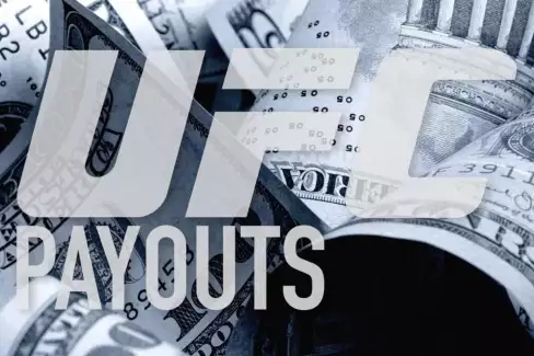 Z výplaty mu nic nezůstane? Šokující přiznání ohledně platů bojovníků UFC