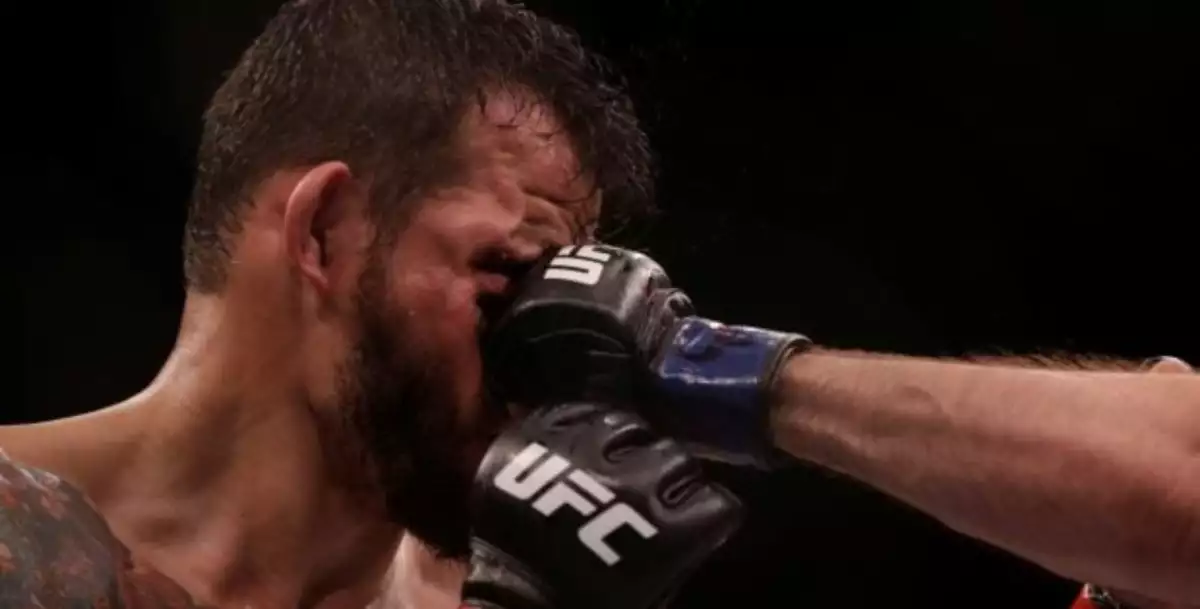 Přehled sportovních událostí a prognózy MMA pro rok 2025