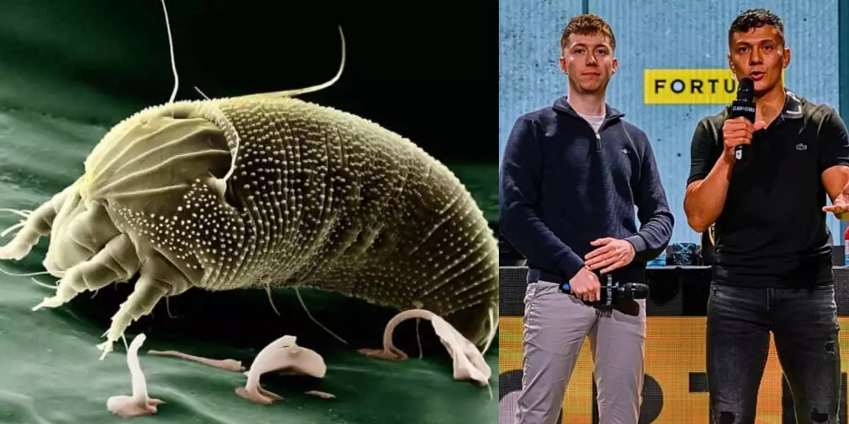 Okamžitý vyhazov! Clash vedení líčí, jaká odporná nemoc se našla při prohlídce