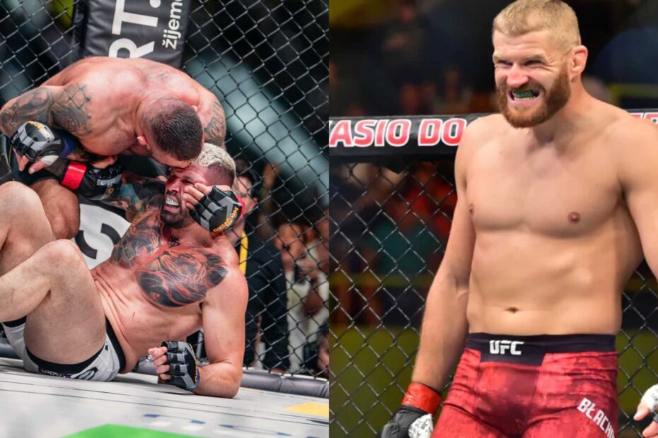 Blachowicz Végh Vémola